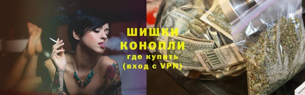 стаф Каменка
