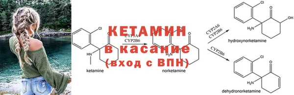 таблы Каменногорск