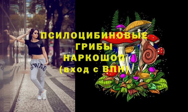 а пвп мука Кинешма