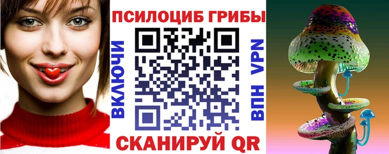 Псилоцибиновые грибы мицелий Сыктывкар