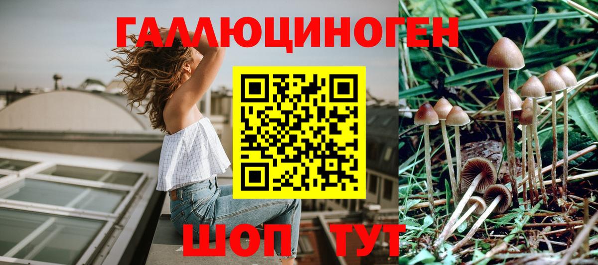 Галлюциногенные грибы мухоморы Сыктывкар