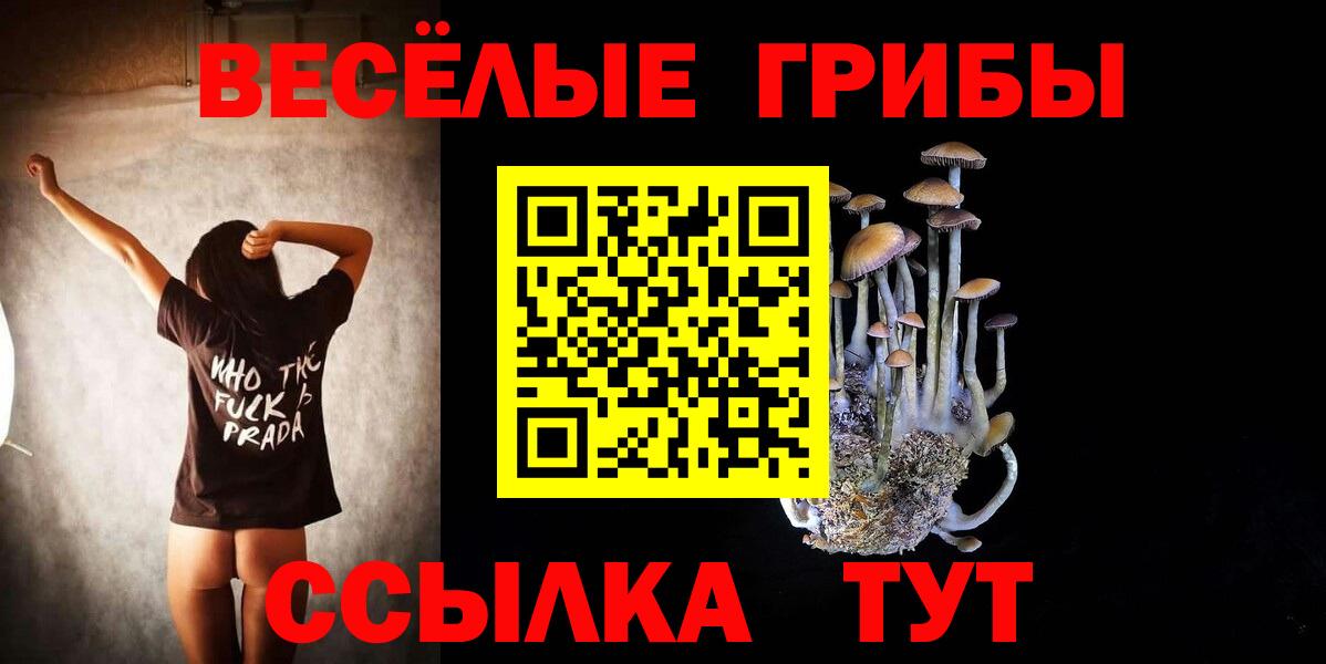 сколько стоит  Псилоцибиновые грибы прущие грибы  Вход с VPN  Сыктывкар  Галлюциногенные грибы ЛСД 